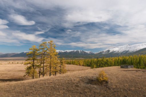 Алтай, Курайская степь, Фото