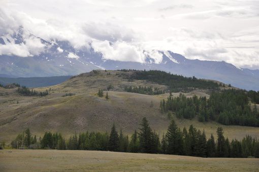 Северо-Чуйский хребет, Алтай, фото