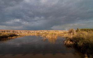 Новосибирская область, река Иня, Издревая, фото