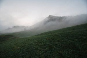 туман, Чуйский Тракт, фото
