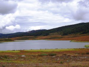 Горный Алтай, Улаганские озера, фото