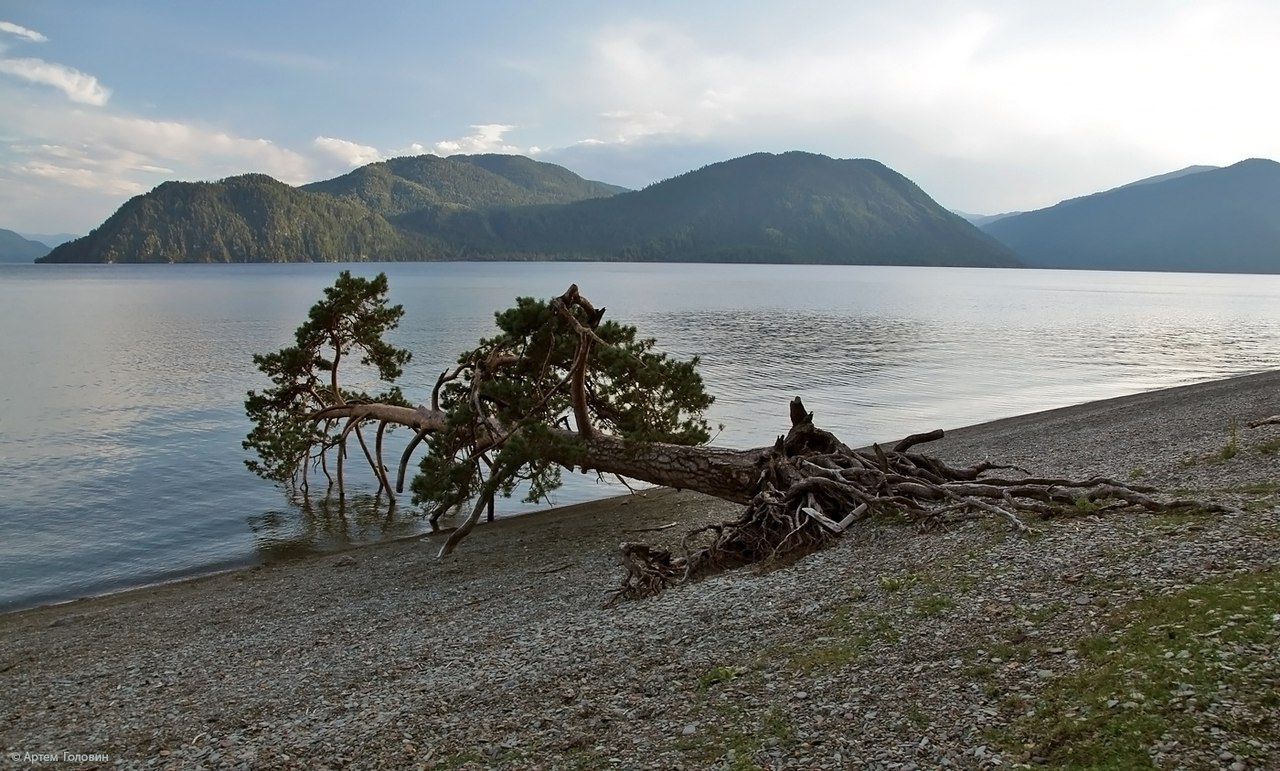 Телецкое озеро, Алтай, фото