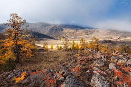 Тажеранская степь, Байкал, Фото