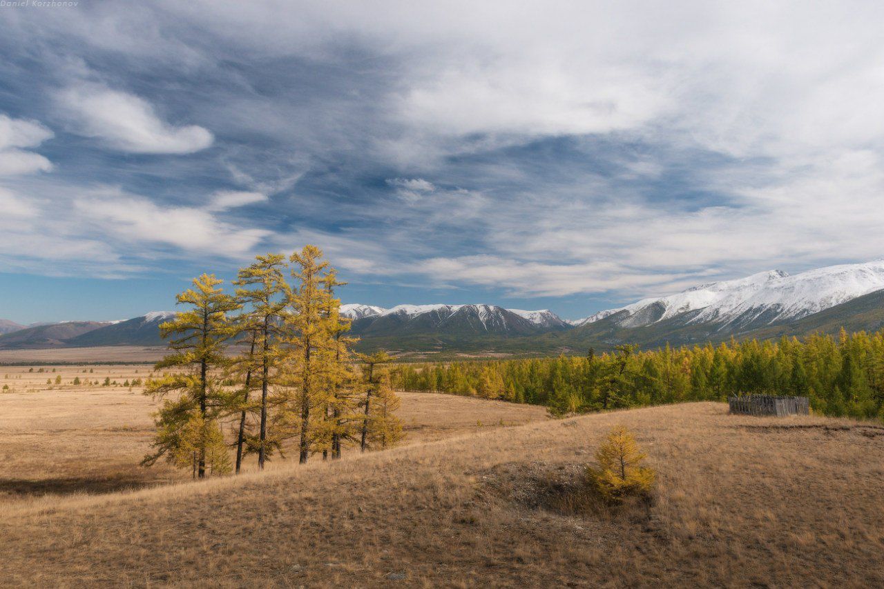 Алтай, Курайская степь, Фото