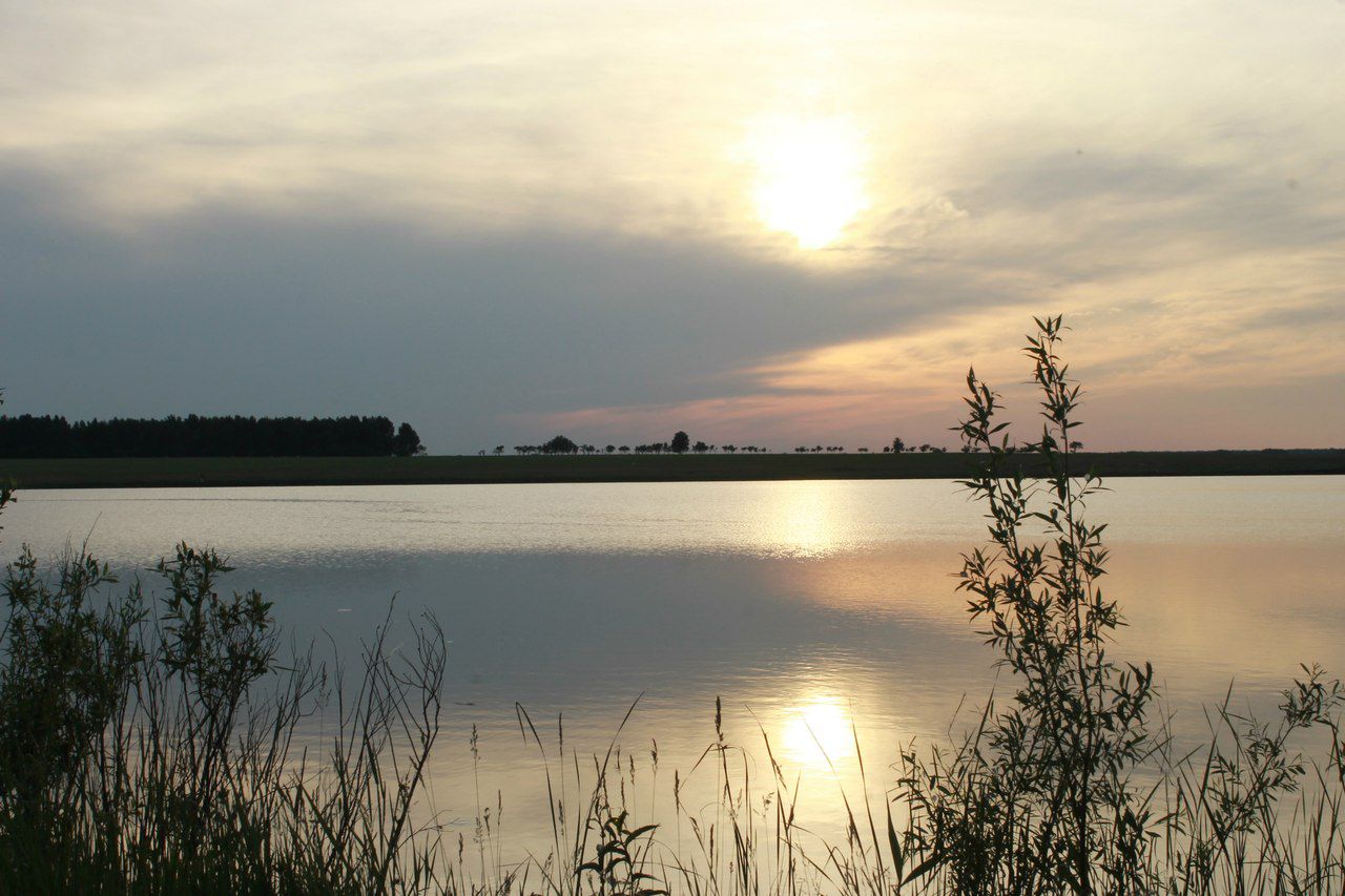 Закат, Кулундинская степь, Родинский район, фото