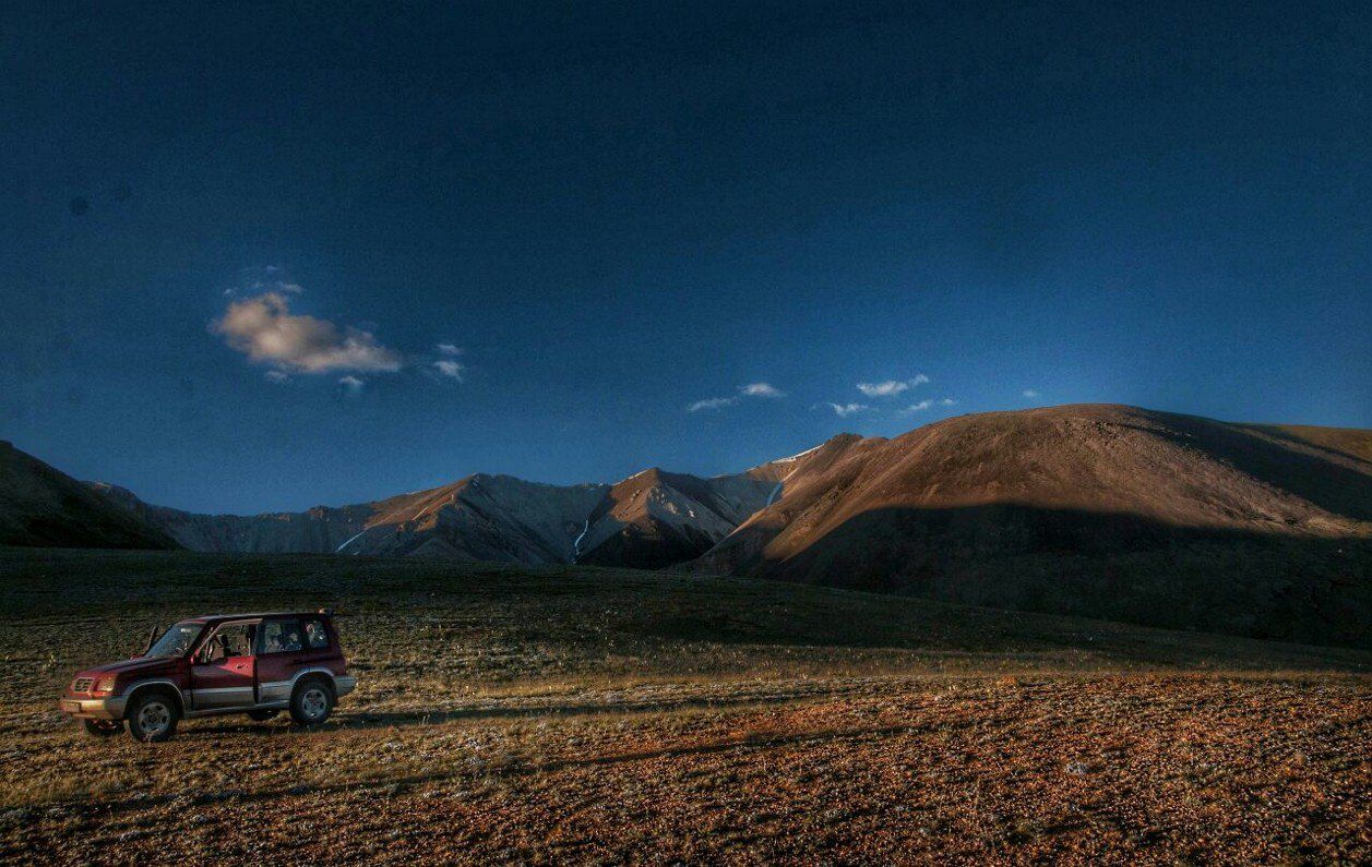 Республика Алтай, кош-агачский район, Тыдтуярык, поле чудес, фото