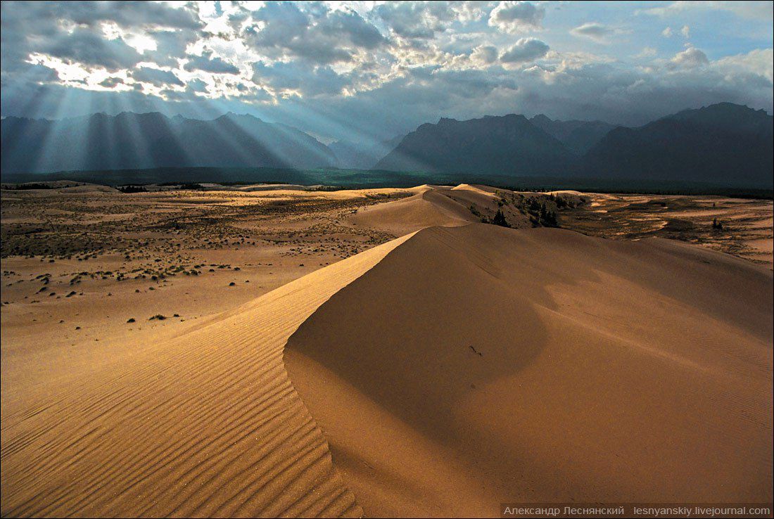 Чарские пески, Забайкальский край, Фото