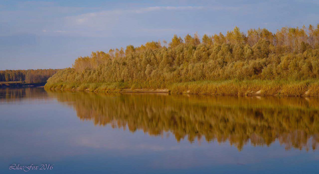 Чумыш, Алтайский край, фото