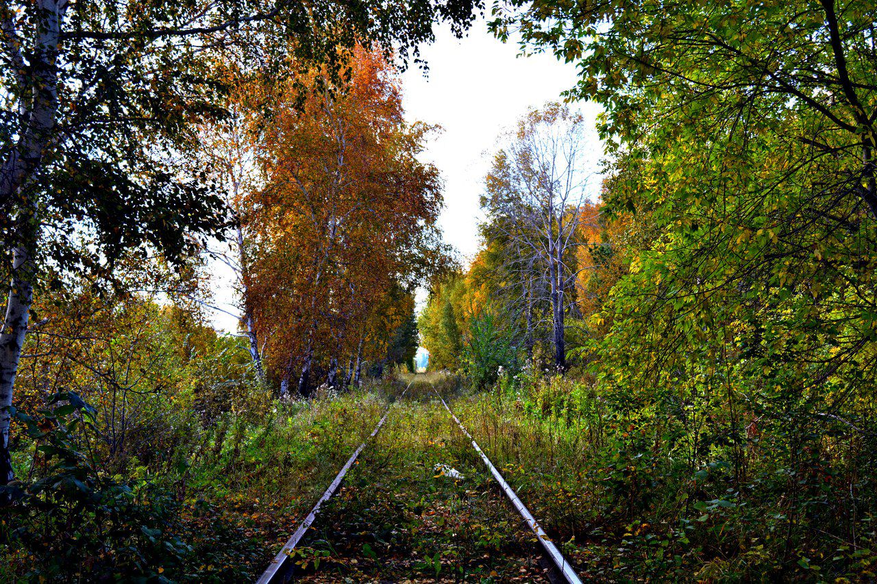 Омская область, Осень, фото