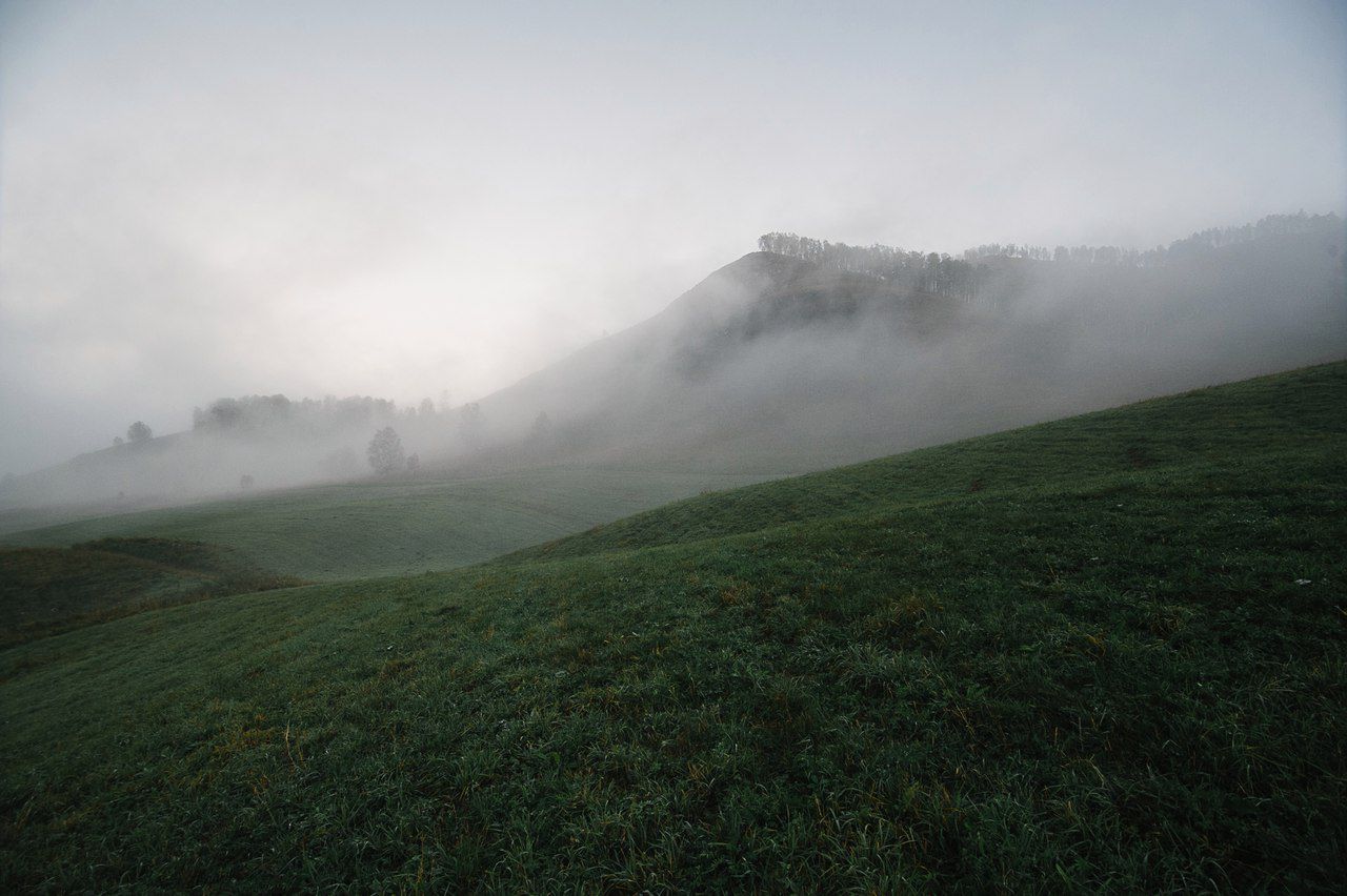 туман, Чуйский Тракт, фото