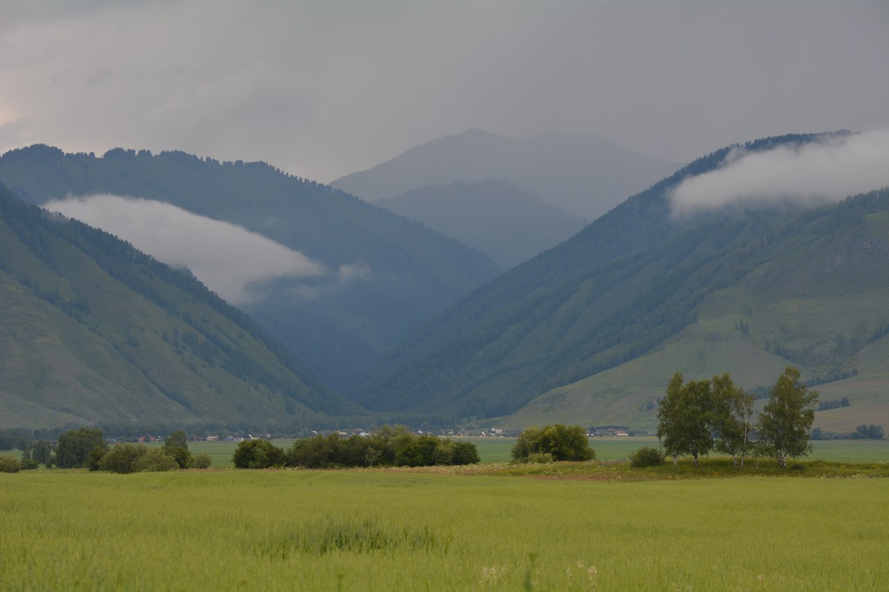 Уймонская долина, Горный Алтай, фото