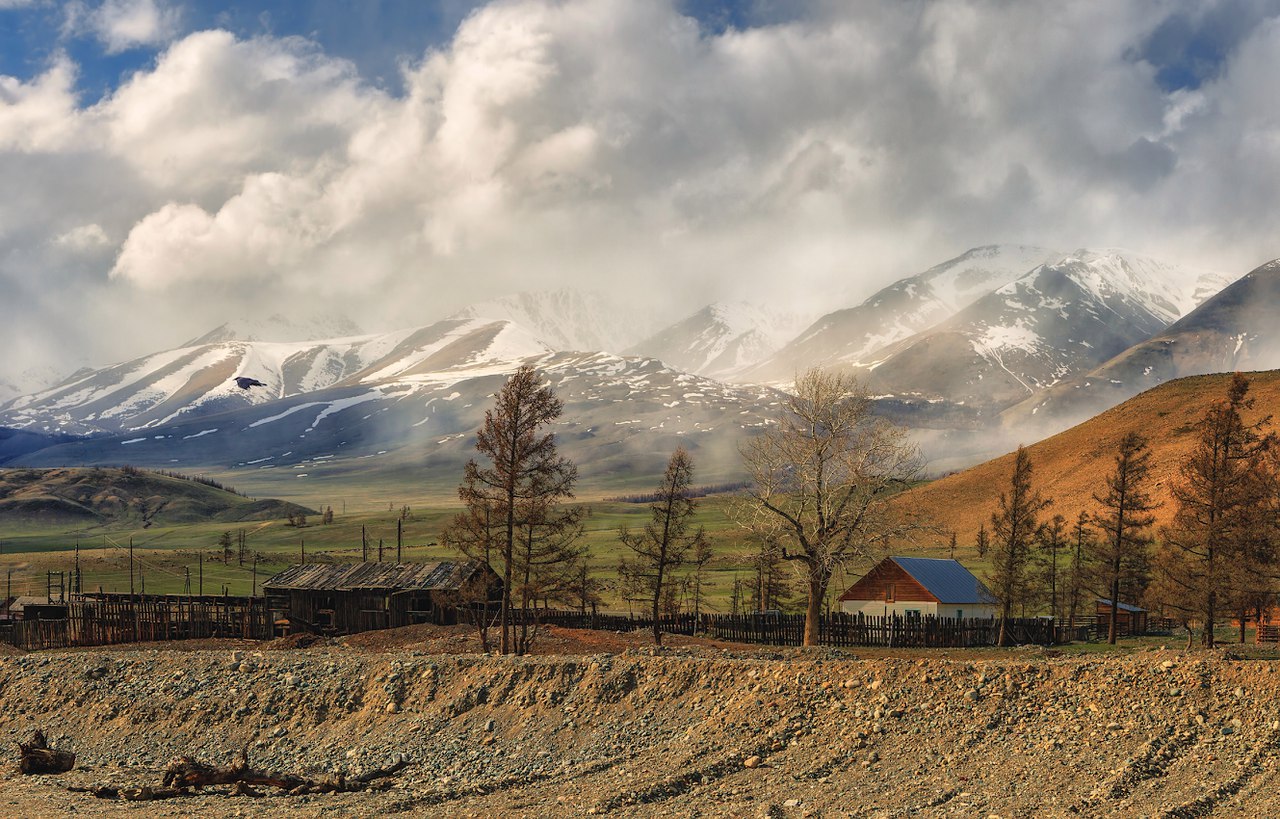 Курайский хребет, Алтай, Фото
