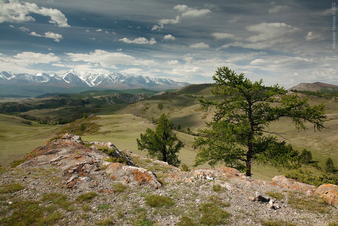 Республика Алтай, Улаганский район, Акташ, Северо-Чуйский хребет, Фото