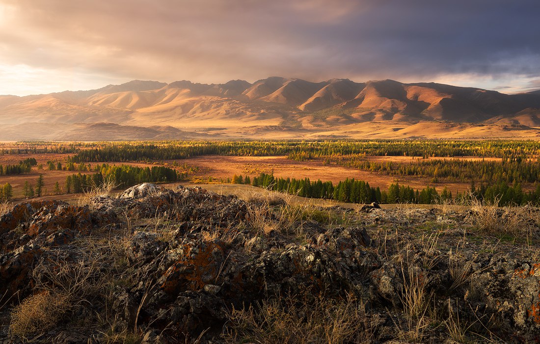 Курайская степь, Алтай, Фото