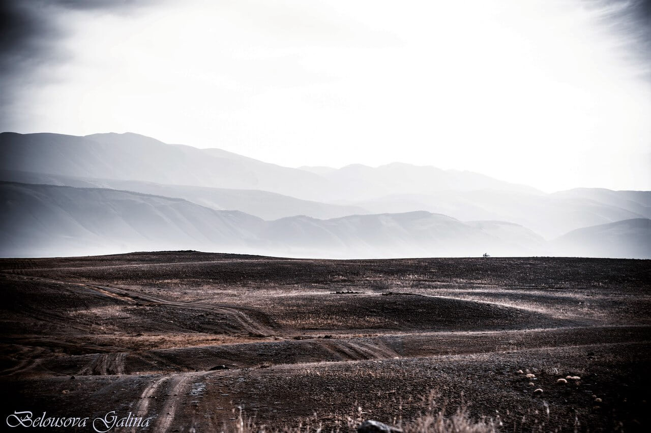 Республика Алтай, Курайская степь, фото