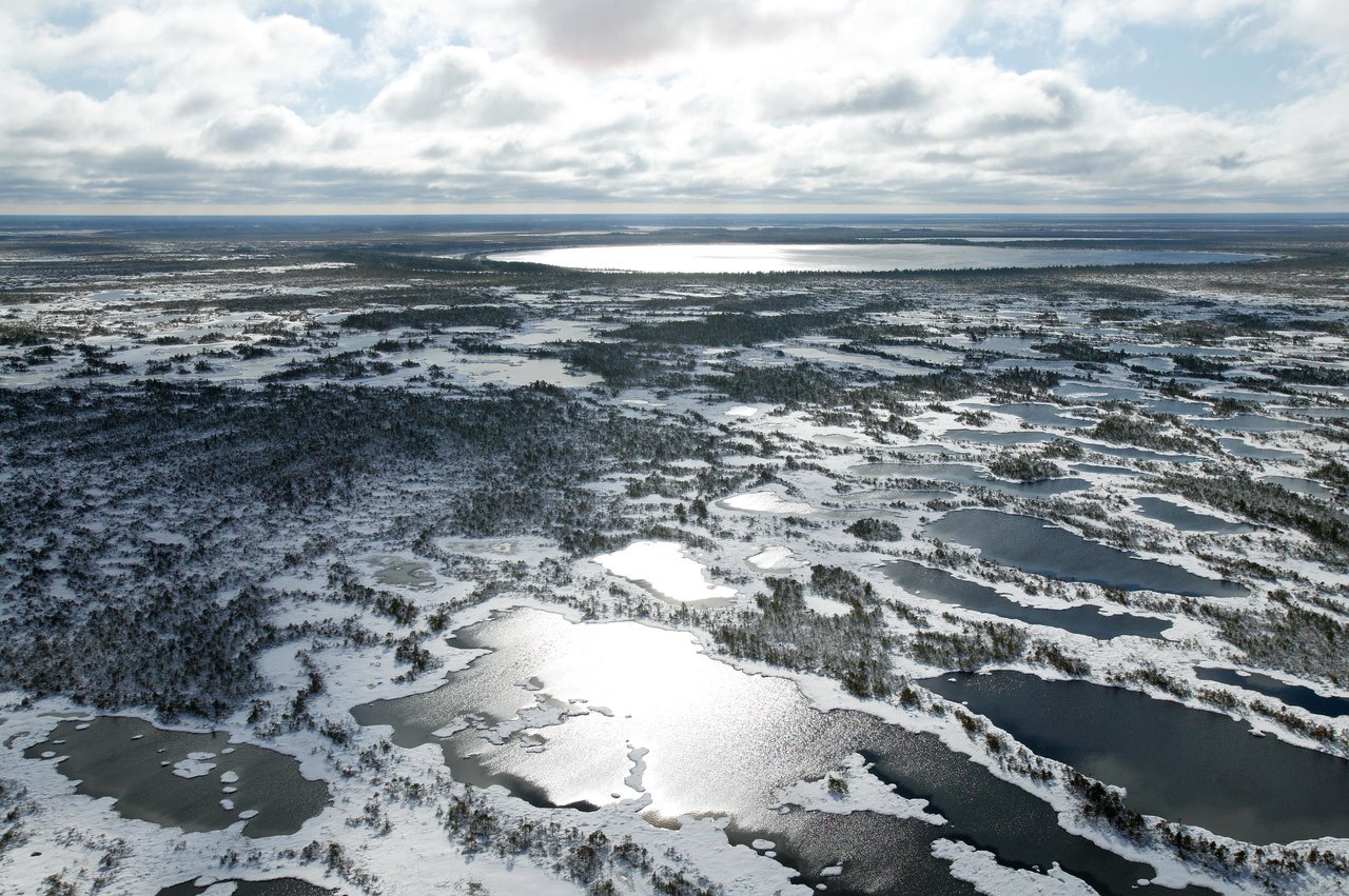 Васюганские болота, Западная Сибирь, Фото