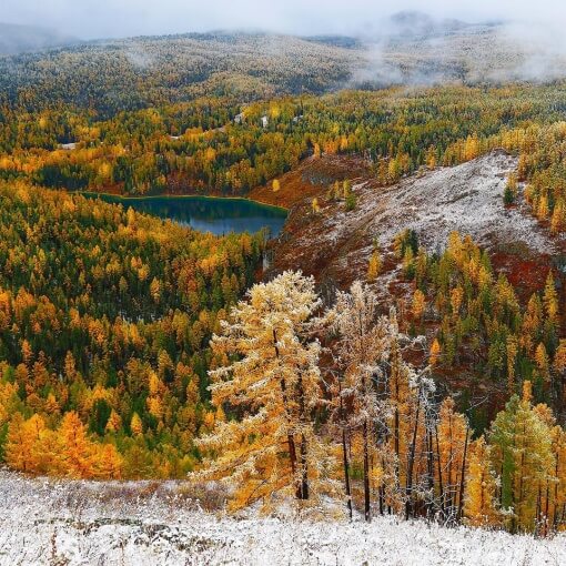 Республика Алтай, Улаганский район, перевал Кату-Ярык, Фото
